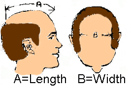 Simple hair system Measurements