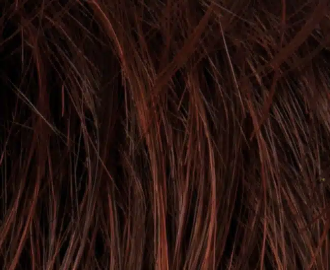 Dark Auburn Wig colour by Ellen Wille