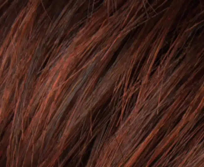 Auburn Wig colour by Ellen Wille