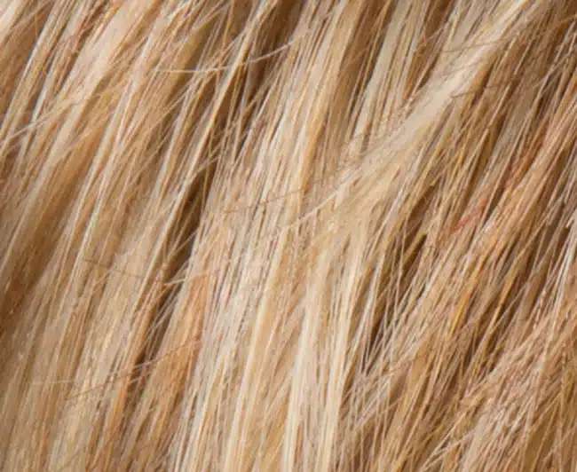 Ginger Wig colour by Ellen Wille