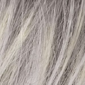 Silver Blonde Wig Colour Ellen Wille