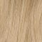 Light Blonde Ellen Wille