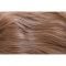 246R Light Warm Brown & Caramel Highlight