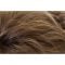 Almond Spice Rooted