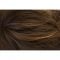 Chocolate Swirl