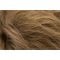Honey Wheat Rooted