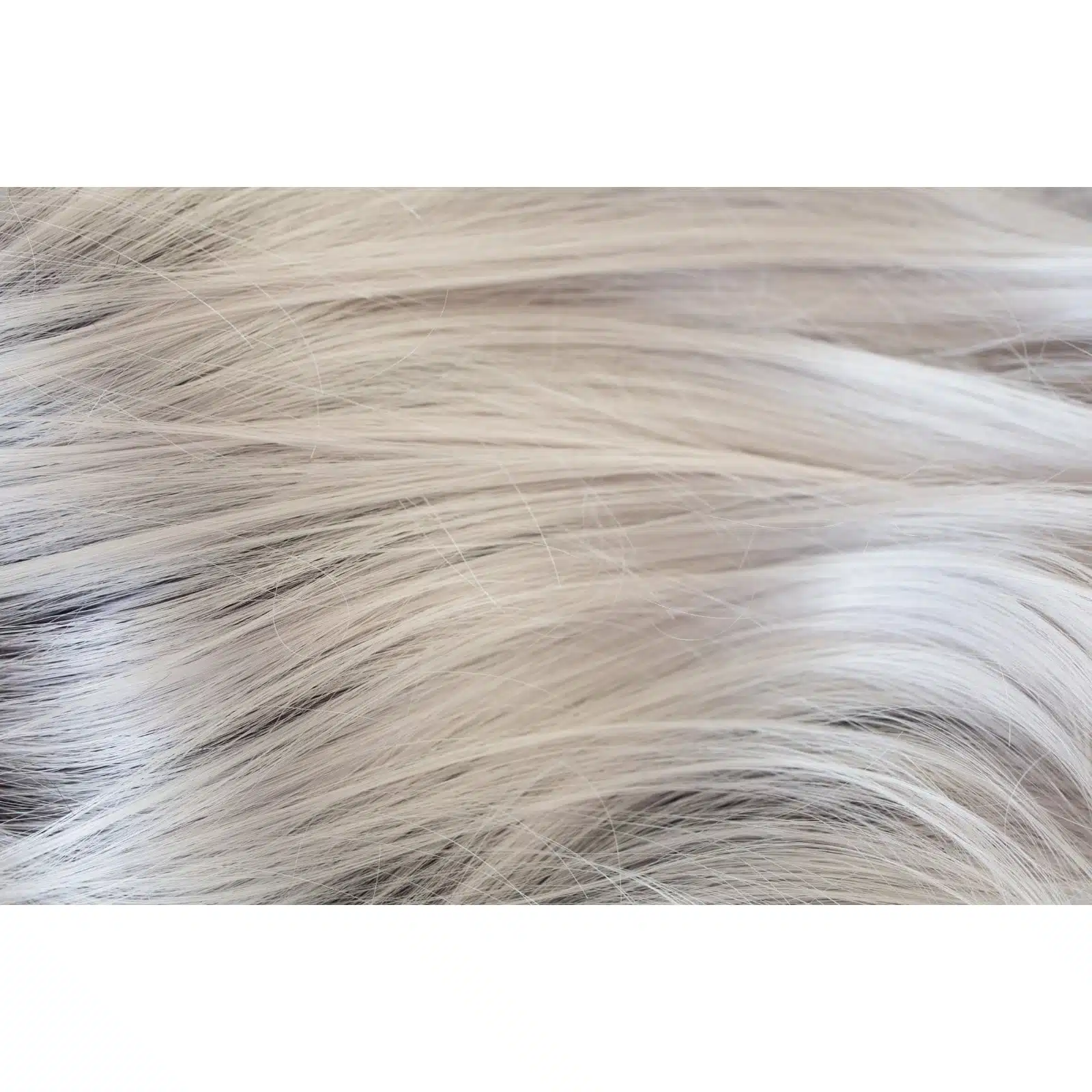 illumina Rooted Colour by Rene of Paris