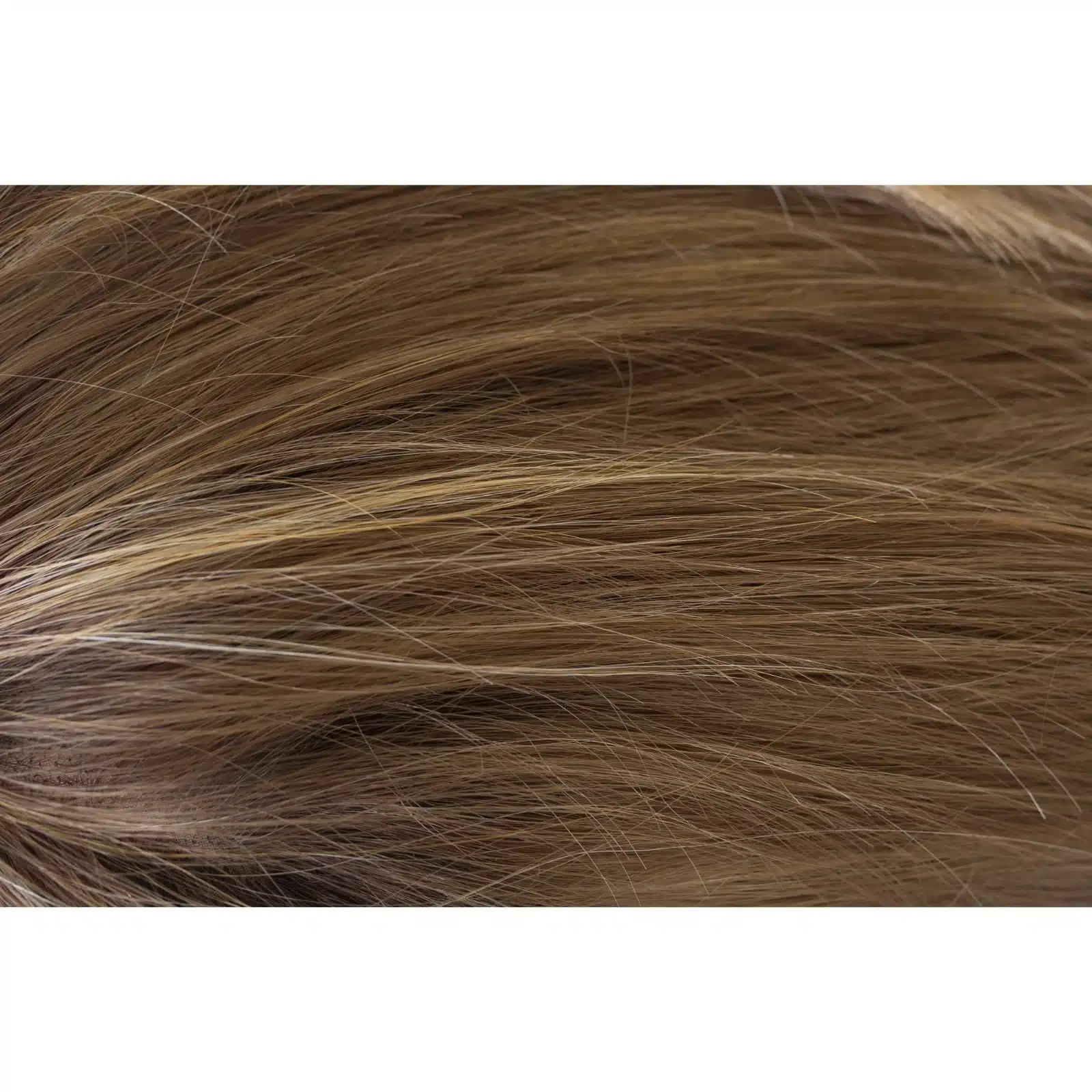 Mochaccino ROOTED Colour by Rene of Paris
