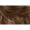 Raisin Glaze Highlight