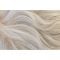 Silver Mink