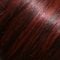 FS2V/31V | Chocolate Cherry