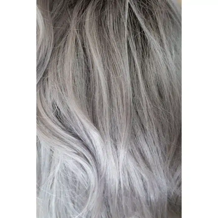 Smokey Gray Rooted Colour by Rene of Paris