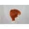 Light Orange Red