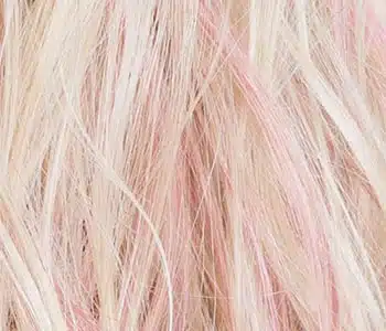 Rose Blonde Wig Colour by Ellen Wille