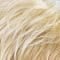22H/22 | Swedish-Blond