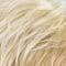 22H/23 | Swedish-Blond-New