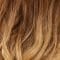 30/31-28 | Chestnut/Blond-Ombre