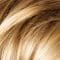 20/12A/23A+Root10/12A | Vanilla-Mix-Root