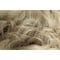 L75/89/92R | Light Oak Melange Rooted