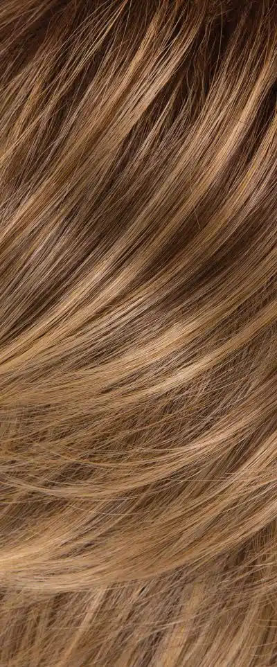 GL11-25SS Honey Pecan Wig Colour by Gabor