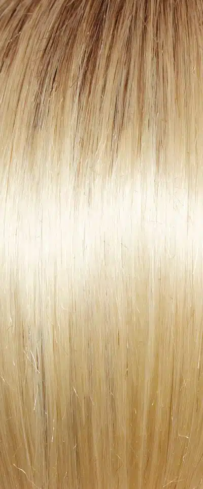 GL613-88SS Champagne Blonde Wig Colour by Gabor