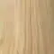 BL10 Palest Blonde