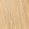 R9HH Light Golden Blonde