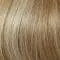 R14/88H Golden Wheat