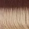 SS14/88 Golden Wheat Shadow Shade