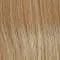 RL14/22 Pale Gold Wheat