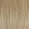 RL16/88 Pale Golden Honey