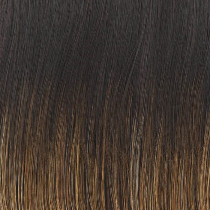 Shadow Shades - RL8/29 Shaded Hazelnut Wig Colour by Raquel Welch