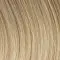 R14/88H Golden Wheat