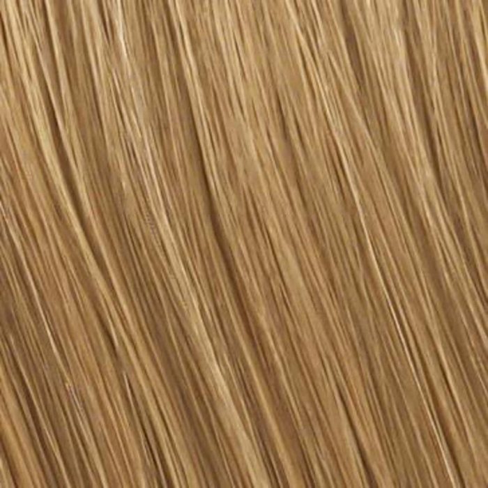 R16 Honey Blonde Wig Colour by Raquel Welch