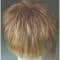 Light Chocolate/Candy Blonde