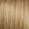 R14/88H Golden Wheat