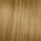 R25 Ginger Blonde