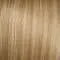 R14/88H Golden Wheat