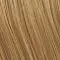 R16 Honey Blonde