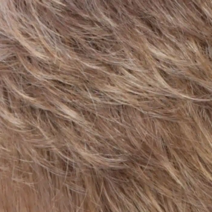 HONEYTOAST Synthetic Wig Colour by Estetica Wigs