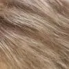 Thumbnail 28