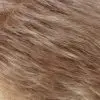 Thumbnail 29