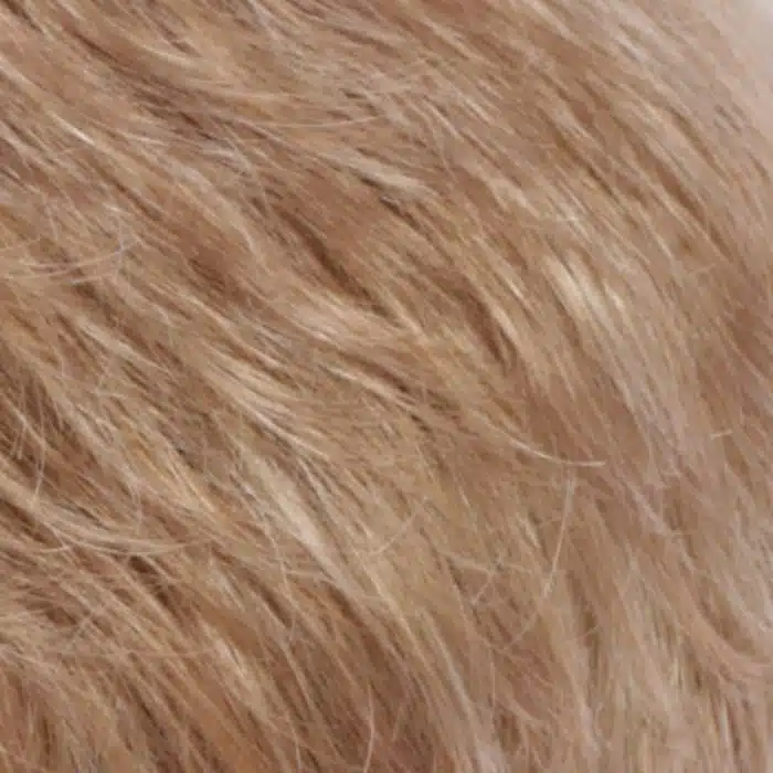 R20F Synthetic Wig Colour by Estetica Wigs