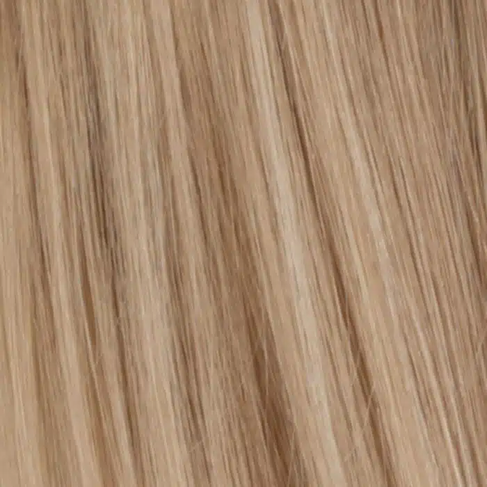 R24/18 Human Hair Wig Colour