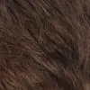 Thumbnail 20