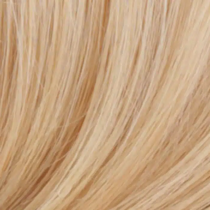 R613/27 Human Hair Wig Colour