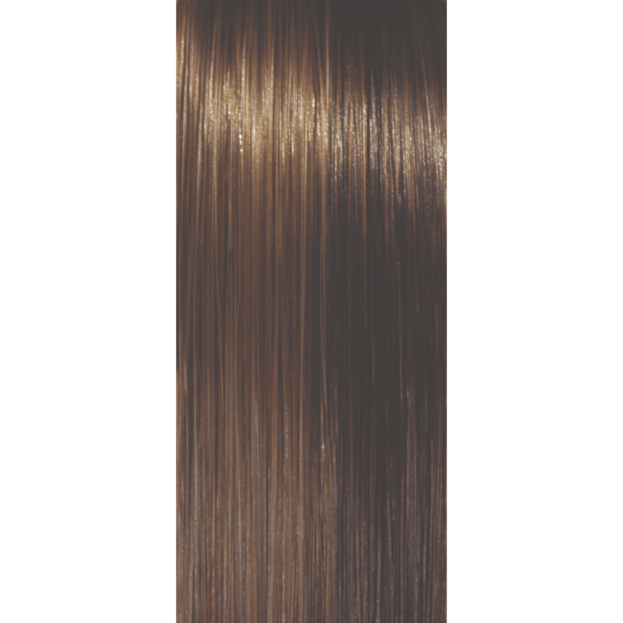 Walnut Wig Colour | Orchid Collection by Rene of Paris