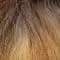 14/26/25+Root 10 | Ash Blond Root