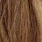 11/15/27 | Medium-Blond-Mix