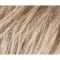 Sandy Blonde Rooted